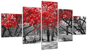 Obraz - Czerwone drzewa, Central Park, New York (125x70 cm)