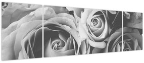 Obraz - Róża, czarno - biały (170x50 cm)