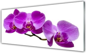 Panel Szklany Kompozycja Świeżych Kwiatów