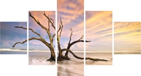 Obraz drzewa w oceanie (125x70 cm)