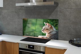 Panel Szklany Hipnotyzujące Spojrzenie Pupila