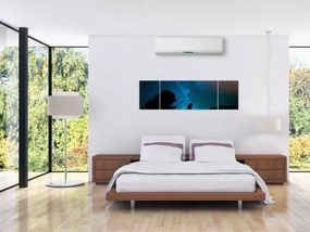 Obraz - Spotkanie pod gwiazdami (170x50 cm)