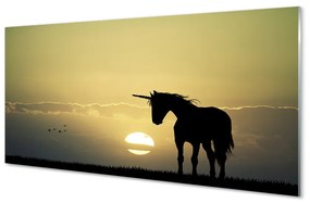 Obraz akrylowy Pole zachód słońca jednorożec