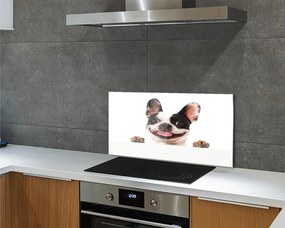 Panel Kuchenny Szklany Spojrzenie Wiernego Przyjaciela