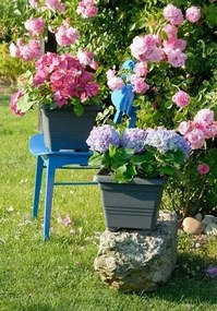 Doniczka Plastia Begonia 60 x 60, antracytowa