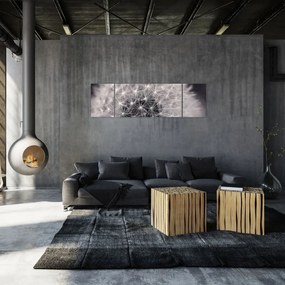 Obraz dmuchawca (170x50 cm)