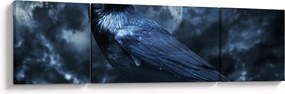 Obraz - Gawron (170x50 cm)