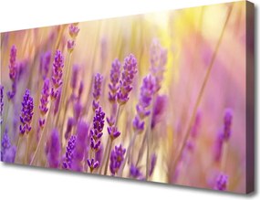 Obraz canvas Pełnia Letniego Rozkwitu