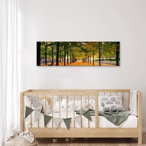 Obraz alei jesiennych drzew (170x50 cm)