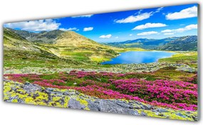 Szkło Ozdobne do Kuchni Zielona Zatoka Pod Górą