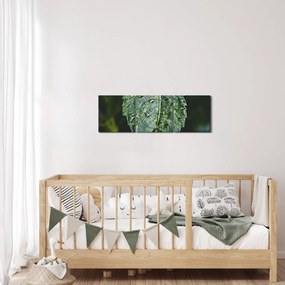 Obraz - krople na liściu (z zegarem) (90x30 cm)