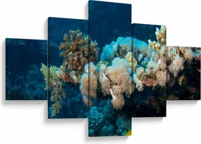 Obraz - W oceanie (125x70 cm)