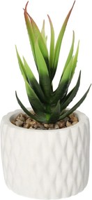 Dekoracja Sansevieria 12cm