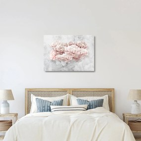 Obraz na szkle - Różowe kwiaty na ścianie (70x50 cm)