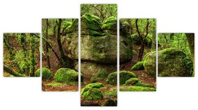 Obraz magicznego lasu (125x70 cm)