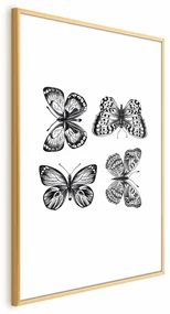 Plakat Cztery motyle 40x60 cm z ramą złotą bez marginesu ARTGEIST B