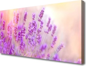 Obraz canvas na ścianę Słoneczny Dzień na Polu Lawendy