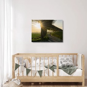 Obraz na szkle - aleja (70x50 cm)