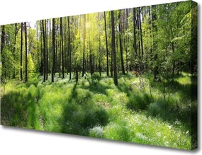 Obraz drukowany na płótnie Leśna Ścieżka wśród Traw