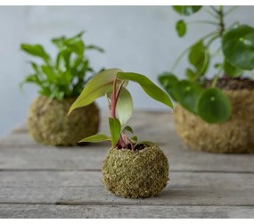 Doniczka ø 9 cm Kokedama – Esschert Design