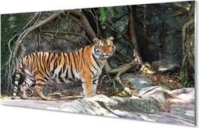 Szklany Panel Tygrys w Sercu Dżungli