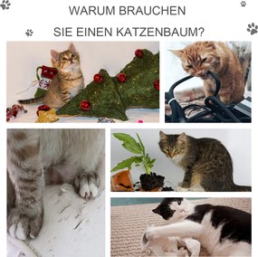 3 Drapak dla kota z jaskinią i drabinką plus miękka poduszka z MDF E1 i sizalu w kolorze jasnoszarym idealny do ostrzenia pazurów | Aosom PL