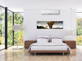 Obraz słonia (170x50 cm)