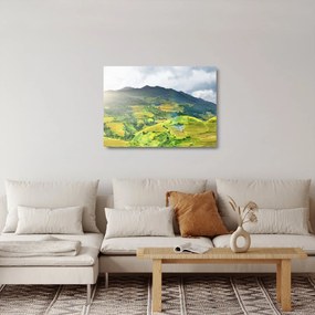 Obraz na szkle - plantacja (70x50 cm)