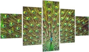 Obraz - Paw (125x70 cm)