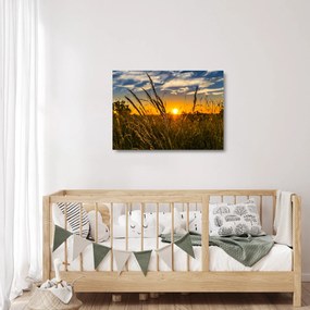 Obraz na szkle - pole o zachodzie słońca (70x50 cm)