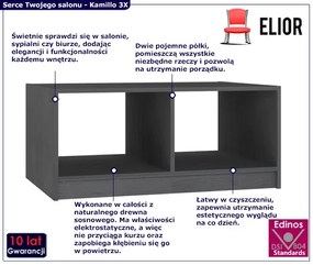 Nowoczesny szary stolik kawowy Igro 3X