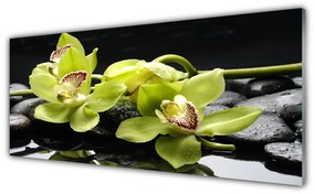 Obraz Akrylowy Kwiat Orchidea Roślina