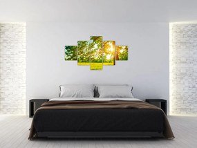 Obraz - Słoneczny Las (125x70 cm)