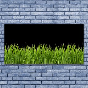 Obraz canvas Puszysta Kula Dmuchawca