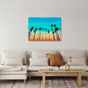 Obraz - Kalifornia (70x50 cm)