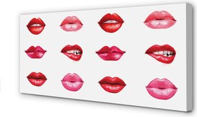 Obraz na płótnie Czerwień i Róż Ust