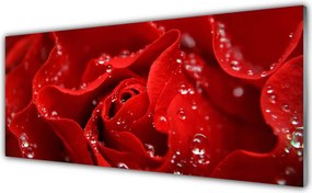 Panel Kuchenny Dzika Róża W Rozkwicie