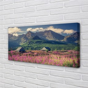 Obraz drukowany na płótnie Góry, Pola i Domki