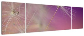 Zdjęcie szczęścia (170x50 cm)