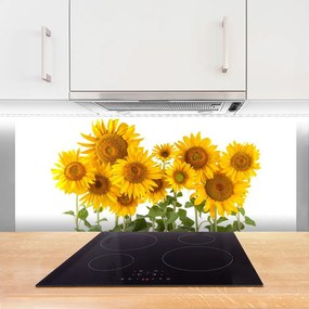 Panel Kuchenny Złociste Słoneczniki W Polu