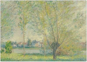 Obraz - Claude Monet, The Willows, reprodukcje (70x50 cm)
