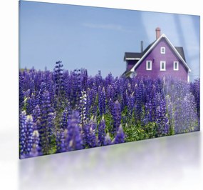 Obraz na szkle - lawendowe pole (70x50 cm)