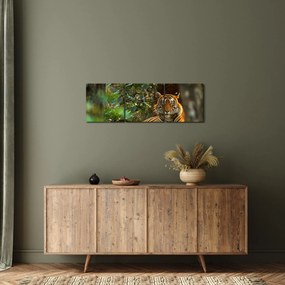 Obraz odpoczywającego tygrysa (z zegarem) (90x30 cm)