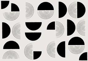 Fototapeta – Abstrakcyjne czarno-białe koła (196x136 cm)