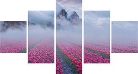 Obraz - Krajobraz z polami tulipanów (125x70 cm)