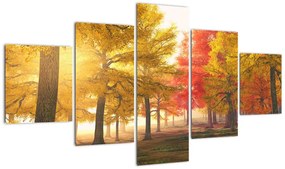 Obraz jesiennych drzew (125x70 cm)