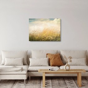 Obraz na szkle - Pole jesienią (70x50 cm)
