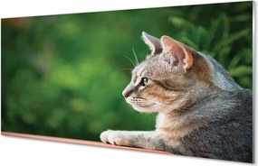 Panel Szklany Hipnotyzujące Spojrzenie Pupila