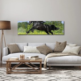 Obraz - Koń z płynącą grzywą (170x50 cm)