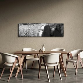 Obraz - Noga słonia (170x50 cm)